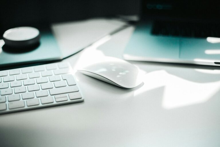Essential Tips for Maintaining Your E-commerce Mouse Collection
